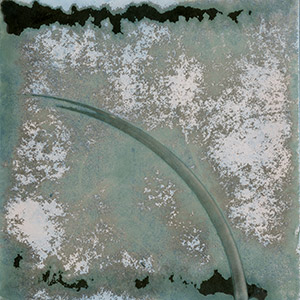 Lunar Caustic (3)
