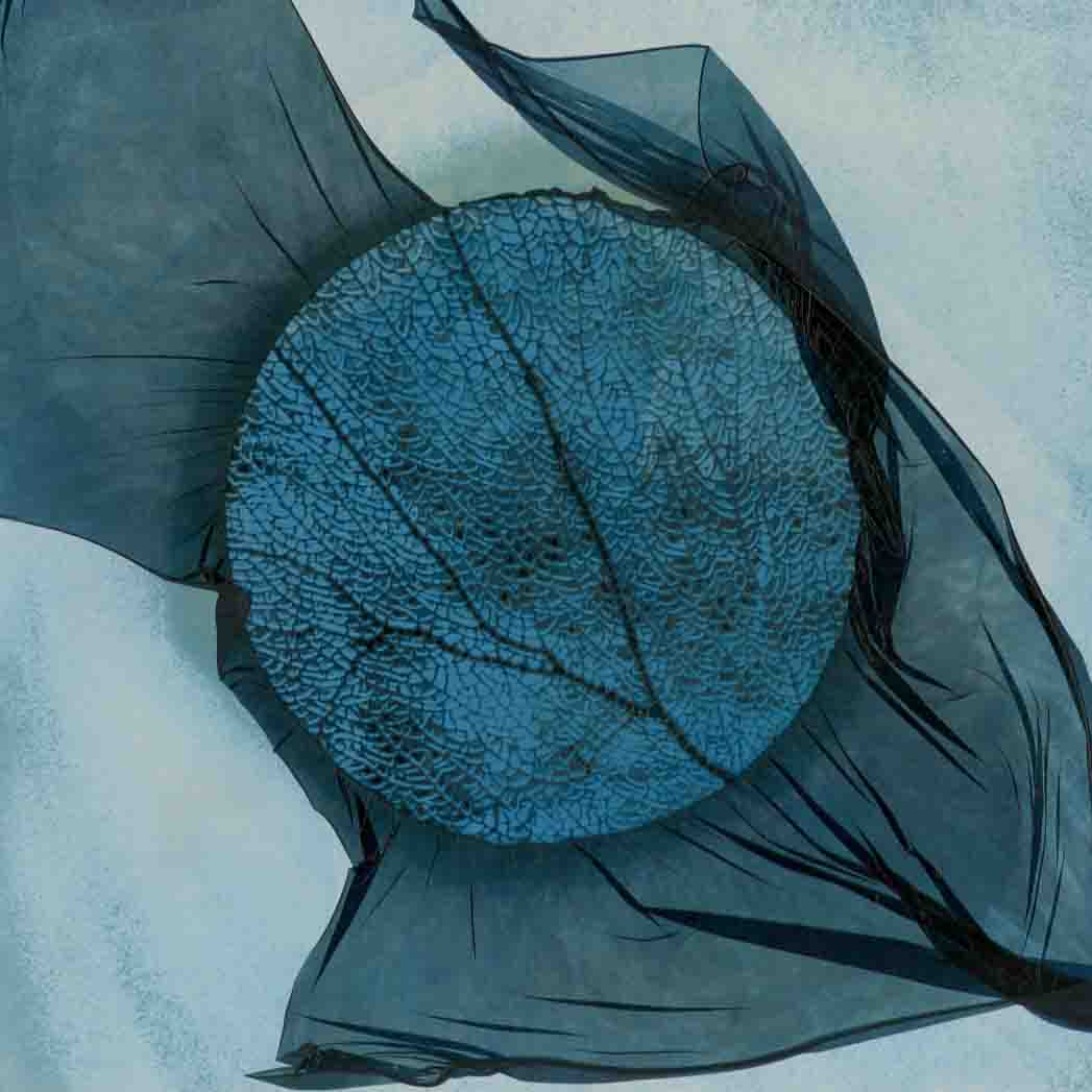 Little Sea Fan 021, a blue circular sea fan opening into a pale field