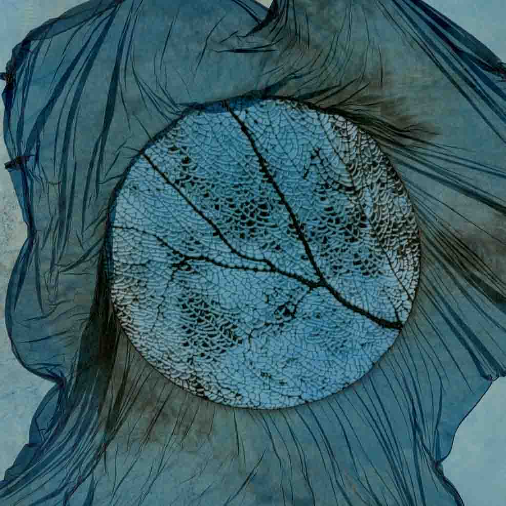 Little Sea Fan 025, branching detail inside a pale blue circle and veil