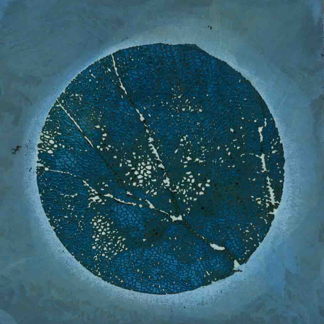 Little Sea Fan 029, a dark blue circular field with branching traces