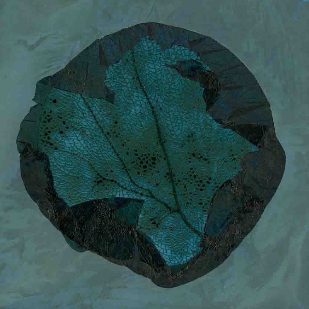 Little Sea Fan 032, a fractured sea fan circle inside a dark irregular veil