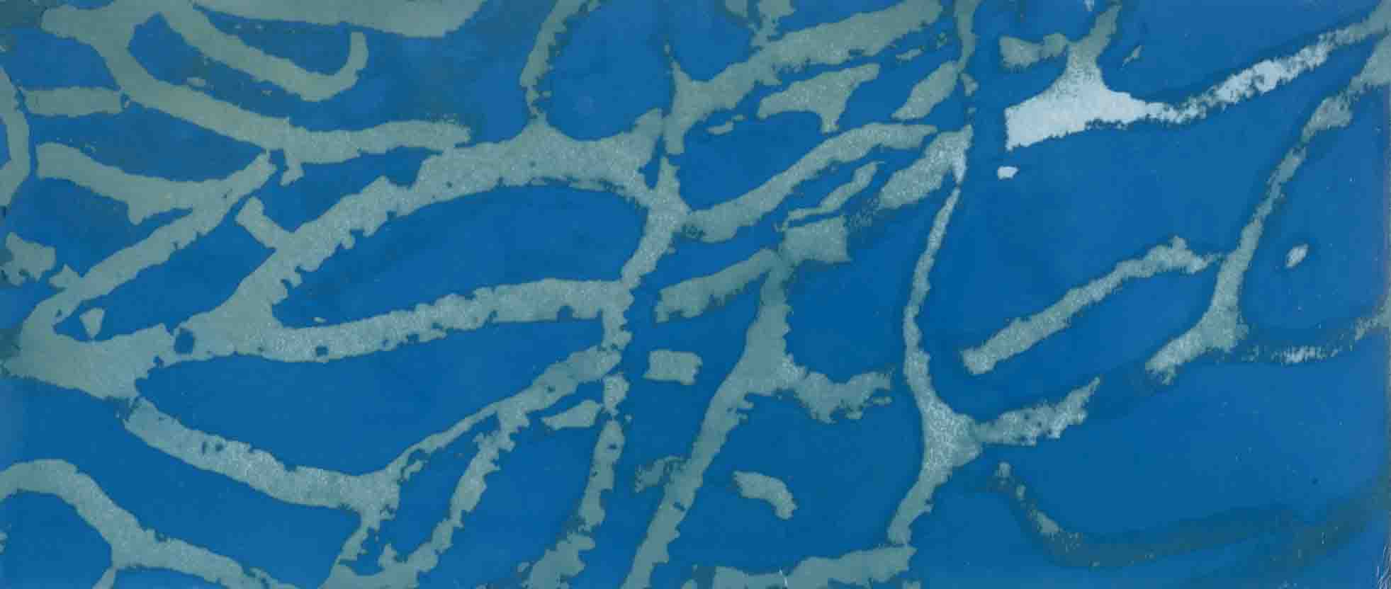 Zebra 006, mordançage study of branching sea fan structure