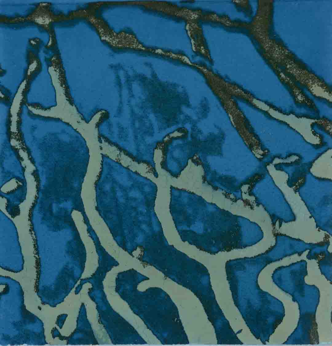 Zebra 021, mordançage study of branching sea fan structure