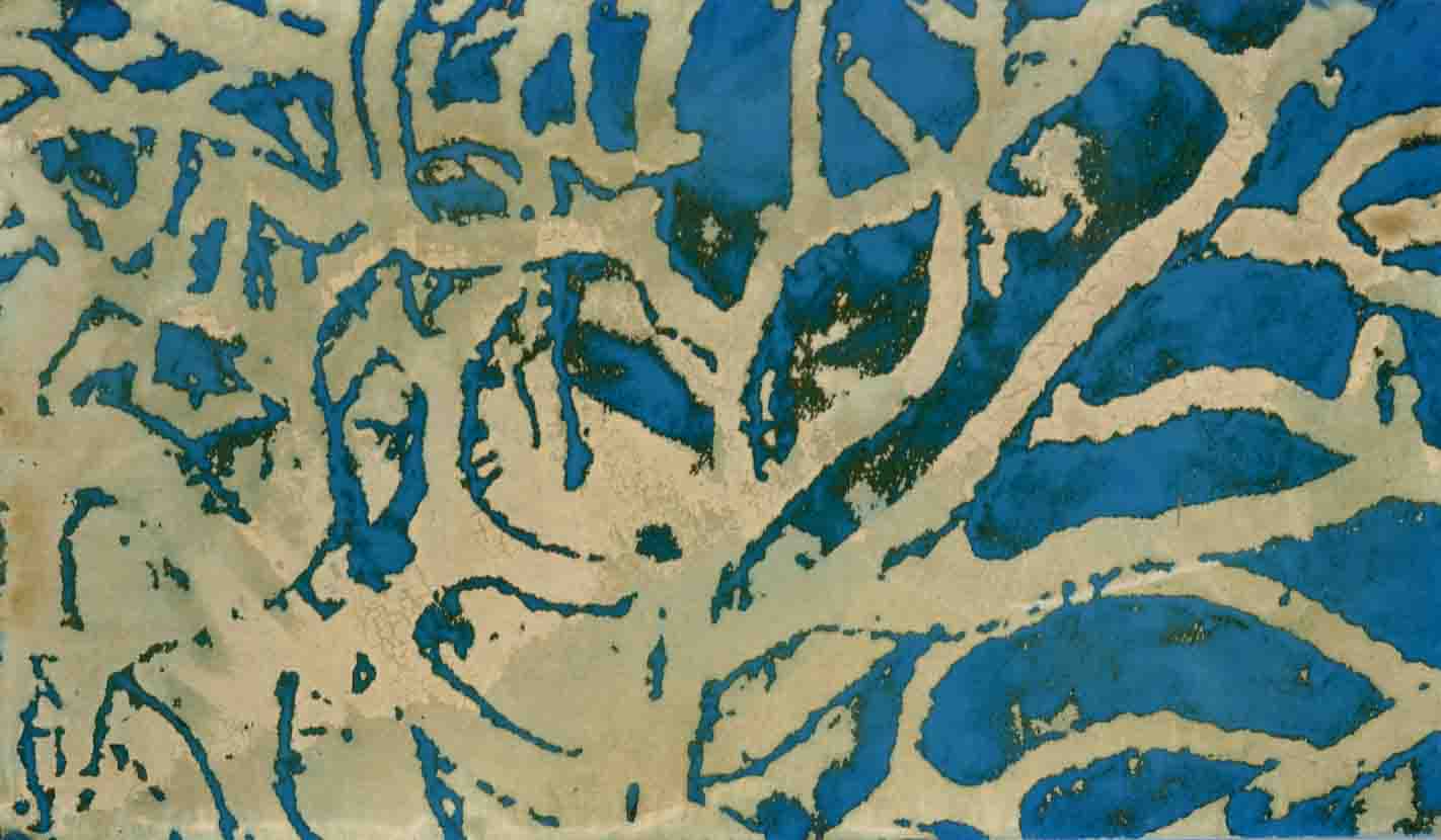 Zebra 027, mordançage study of branching sea fan structure
