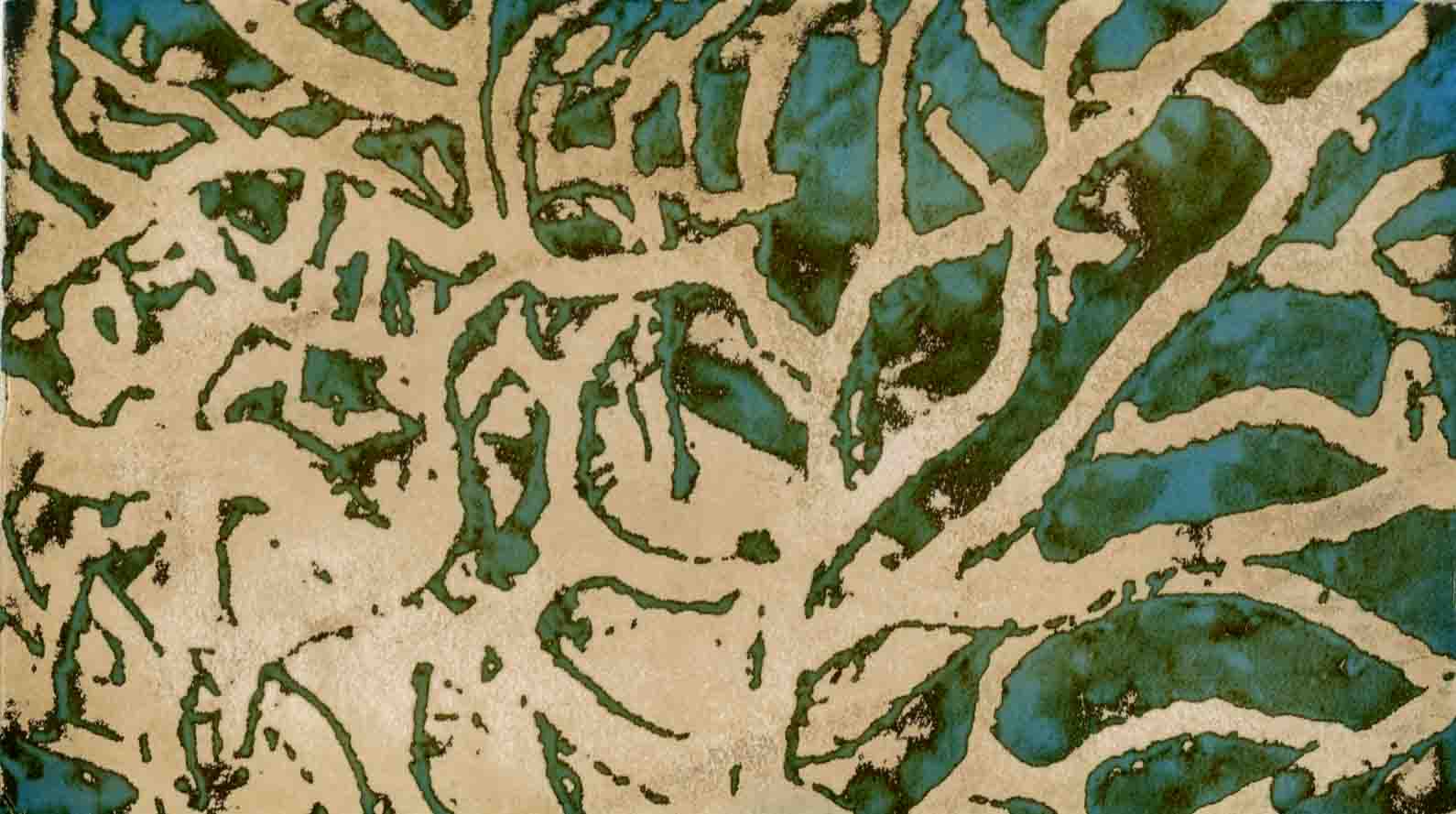 Zebra 028, mordançage study of branching sea fan structure