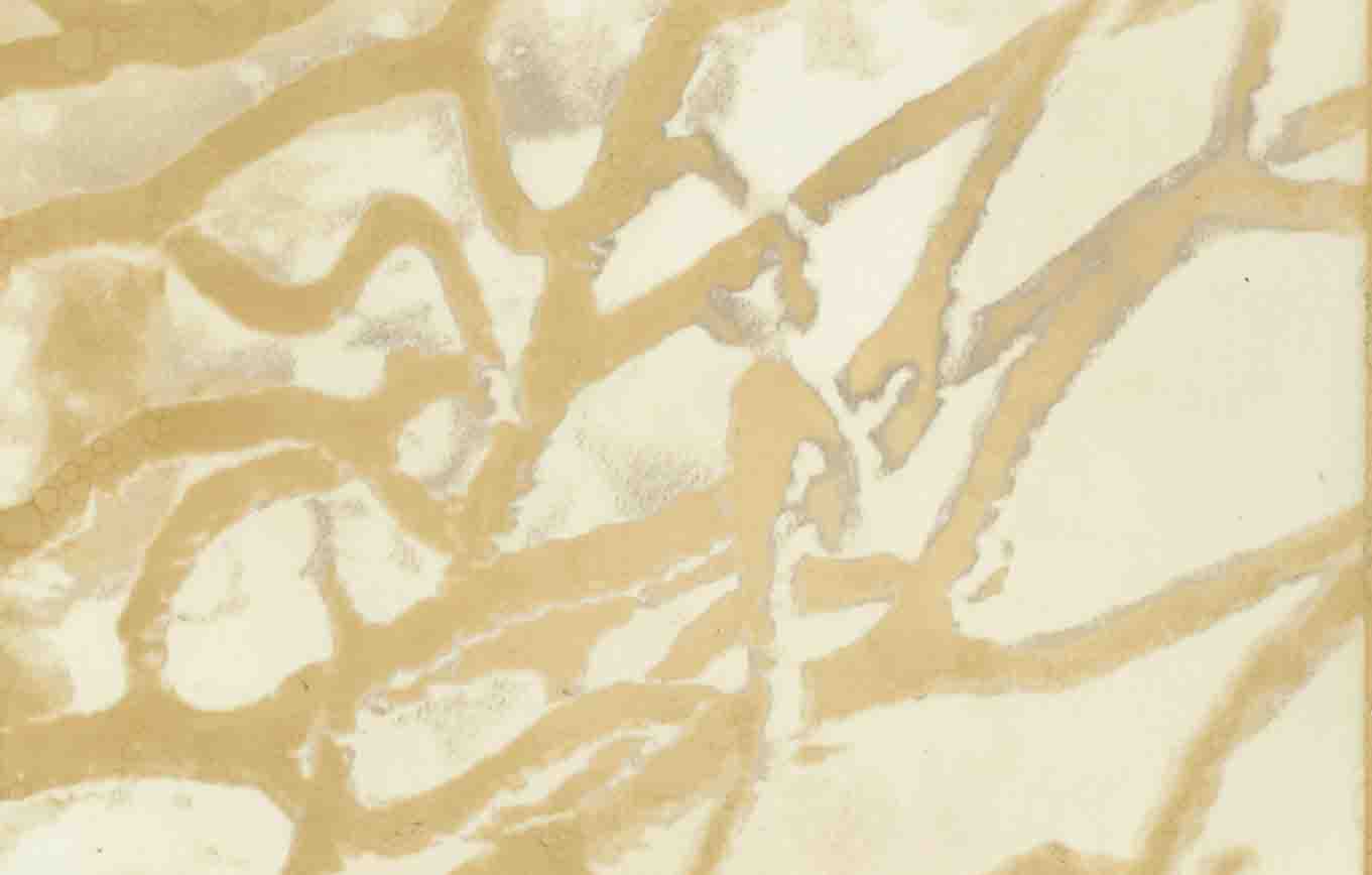 Zebra 032, mordançage study of branching sea fan structure